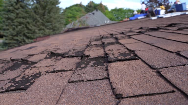 Best Roof Installation  in Rio Grande, OH